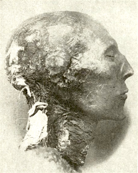 Mummified Head of Pharaoh Seti I of the XIX Dynasty - webAfriqa - SemanticAfrica Mummified Head of Pharaoh Seti I of the XIX Dynasty